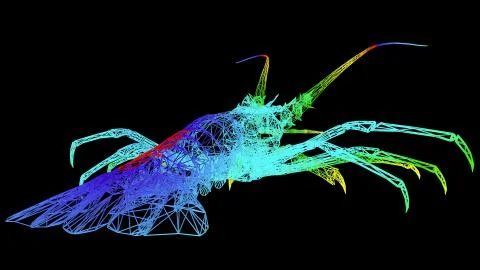 3d rendering of an artistic object made with colorful rope lines on black Stock Illustration