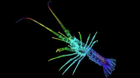 3d rendering of an artistic object made with colorful rope lines on black 스톡 일러스트