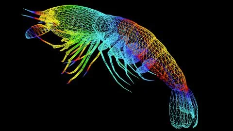 3d rendering of an artistic object made with colorful rope lines on black Stock Illustration