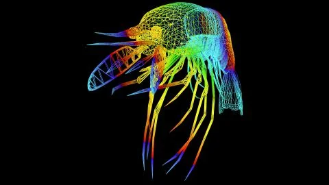 3d rendering of an artistic object made with colorful rope lines on black Stock Illustration