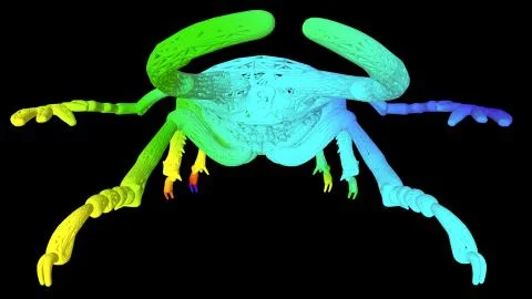 3d rendering of an artistic object made with colorful rope lines on black 스톡 일러스트