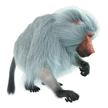 3D Rendering Baboon on White Stock Illustration