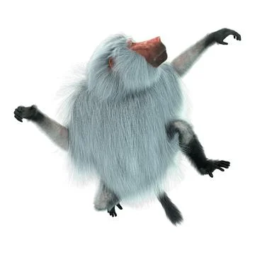 3D Rendering Baboon on White Stock Illustration