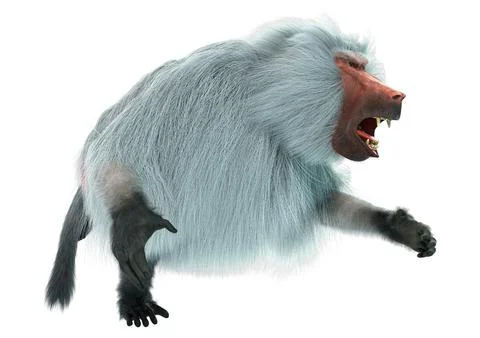 3D Rendering Baboon on White Stock Illustration