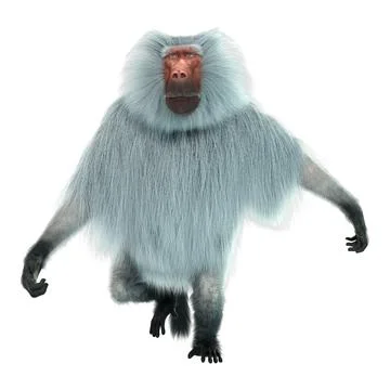 3D Rendering Baboon on White Stock Illustration