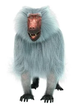 3D Rendering Baboon on White Stock Illustration