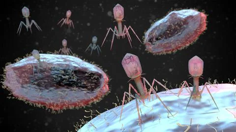 3D Rendering of Bacteriophage infection Stock Illustration