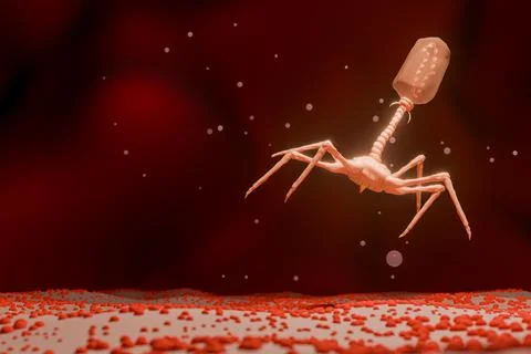 3D Rendering of Bacteriophage Virus on Bacterial Cell 스톡 사진