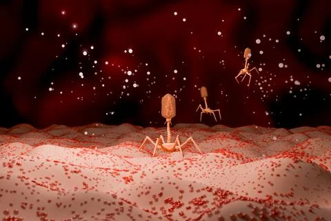 3D Rendering of Bacteriophage Virus on Bacterial Cell Stock Photos