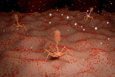 3D Rendering of Bacteriophage Virus on Bacterial Cell Foto stock