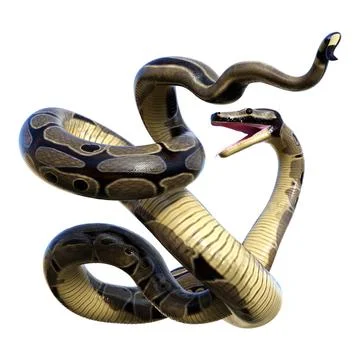 3D Rendering Ball Python on White Stock Illustration