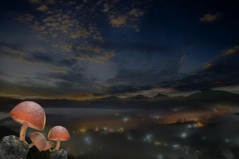 3d rendering of beautiful closeup of forest mushrooms with nice background Stock Photos