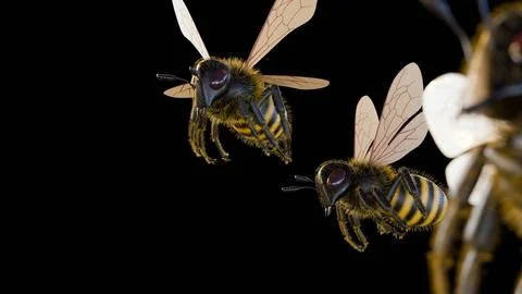 A 3d rendering of bees in flight Illustrazione stock