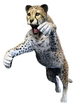 3D Rendering Big Cat Cheetah on White Stock Illustration