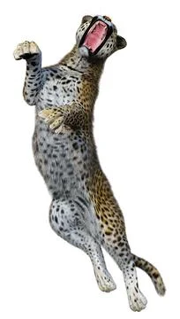3D Rendering Big Cat Leopard on White Stock Illustration