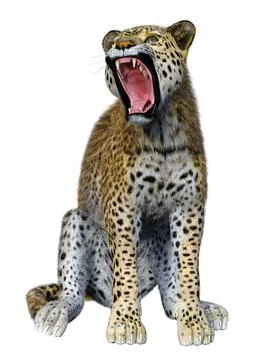 3D Rendering Big Cat Leopard on White Stock Illustration