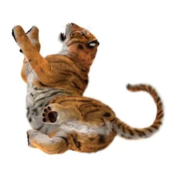 3D Rendering Big Cat Tiger on White Stock Illustration