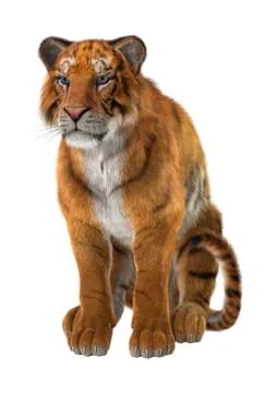 3D Rendering Big Cat Tiger on White Stock Illustration