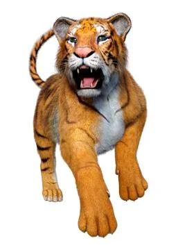 3D Rendering Big Cat Tiger on White Stock Illustration