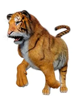 3D Rendering Big Cat Tiger on White Stock Illustration