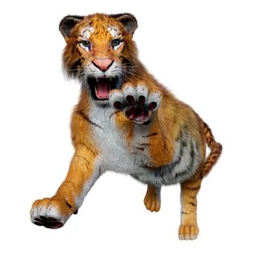 3D Rendering Big Cat Tiger on White Stock Illustration