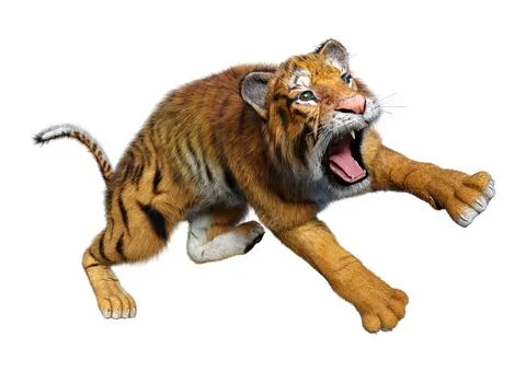 3D Rendering Big Cat Tiger on White Stock Illustration