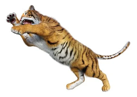 3D Rendering Big Cat Tiger on White Stock Illustration