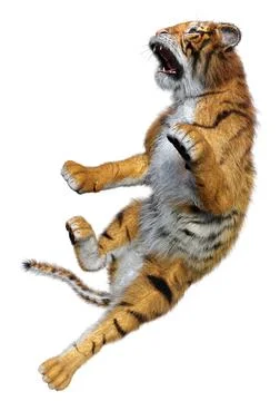 3D Rendering Big Cat Tiger on White Stock Illustration