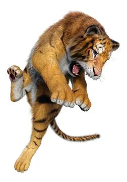 3D Rendering Big Cat Tiger on White Stock Illustration