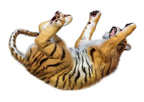 3D Rendering Big Cat Tiger on White Stock Illustration