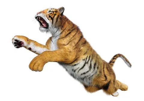 3D Rendering Big Cat Tiger on White Stock Illustration
