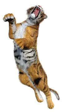 3D Rendering Big Cat Tiger on White Stock Illustration