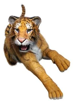 3D Rendering Big Cat Tiger on White Stock Illustration