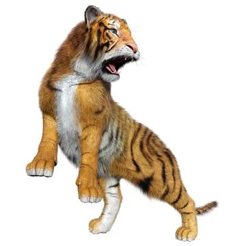 3D Rendering Big Cat Tiger on White Stock Illustration