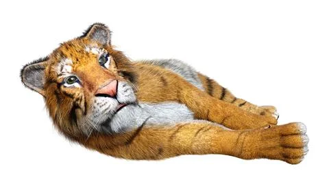 3D Rendering Big Cat Tiger on White Stock Illustration