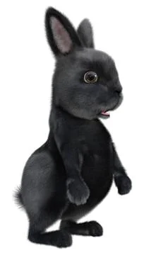 3D Rendering Black Bunny on White Stock Illustration