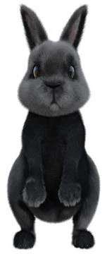 3D Rendering Black Bunny on White Stock Illustration