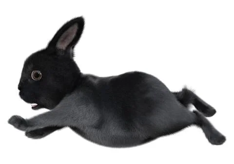 3D Rendering Black Bunny on White Stock Illustration