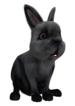 3D Rendering Black Bunny on White Stock Illustration