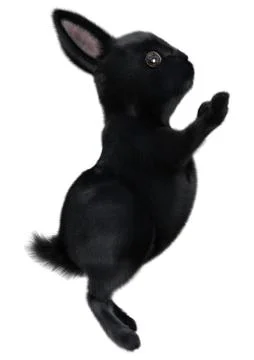 3D Rendering Black Bunny on White Stock Illustration