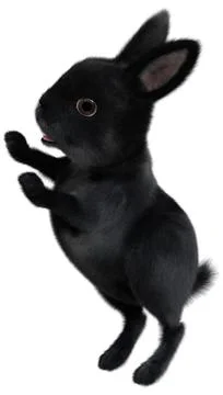 3D Rendering Black Bunny on White Stock Illustration
