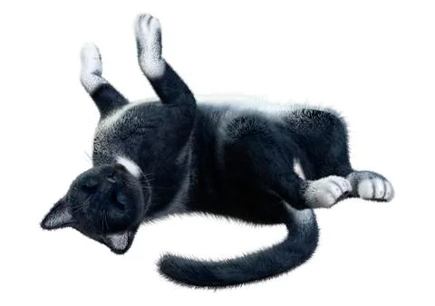 3D Rendering Black Cat on White Illustrazione stock