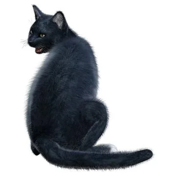 3D Rendering Black Cat on White Stock Illustration