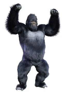 3D Rendering Black Gorilla Ape on White Stock Illustration
