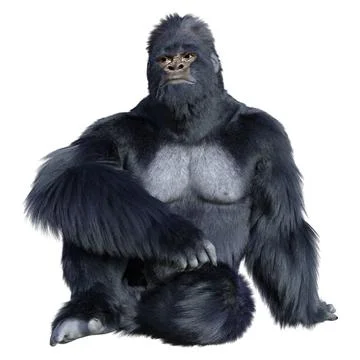 3D Rendering Black Gorilla Ape on White Stock-Illustration