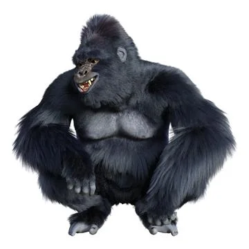 3D Rendering Black Gorilla Ape on White Stock-Illustration