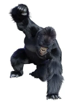 3D Rendering Black Gorilla Ape on White Stock Illustration