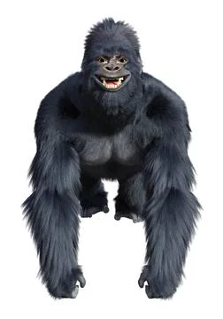 3D Rendering Black Gorilla Ape on White Stock-Illustration