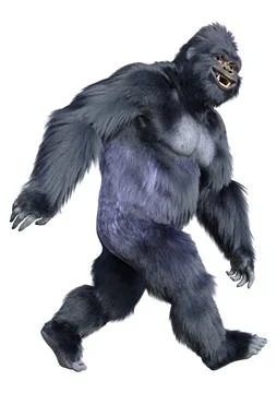 3D Rendering Black Gorilla Ape on White Stock-Illustration