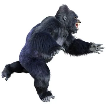 3D Rendering Black Gorilla Ape on White Stock Illustration